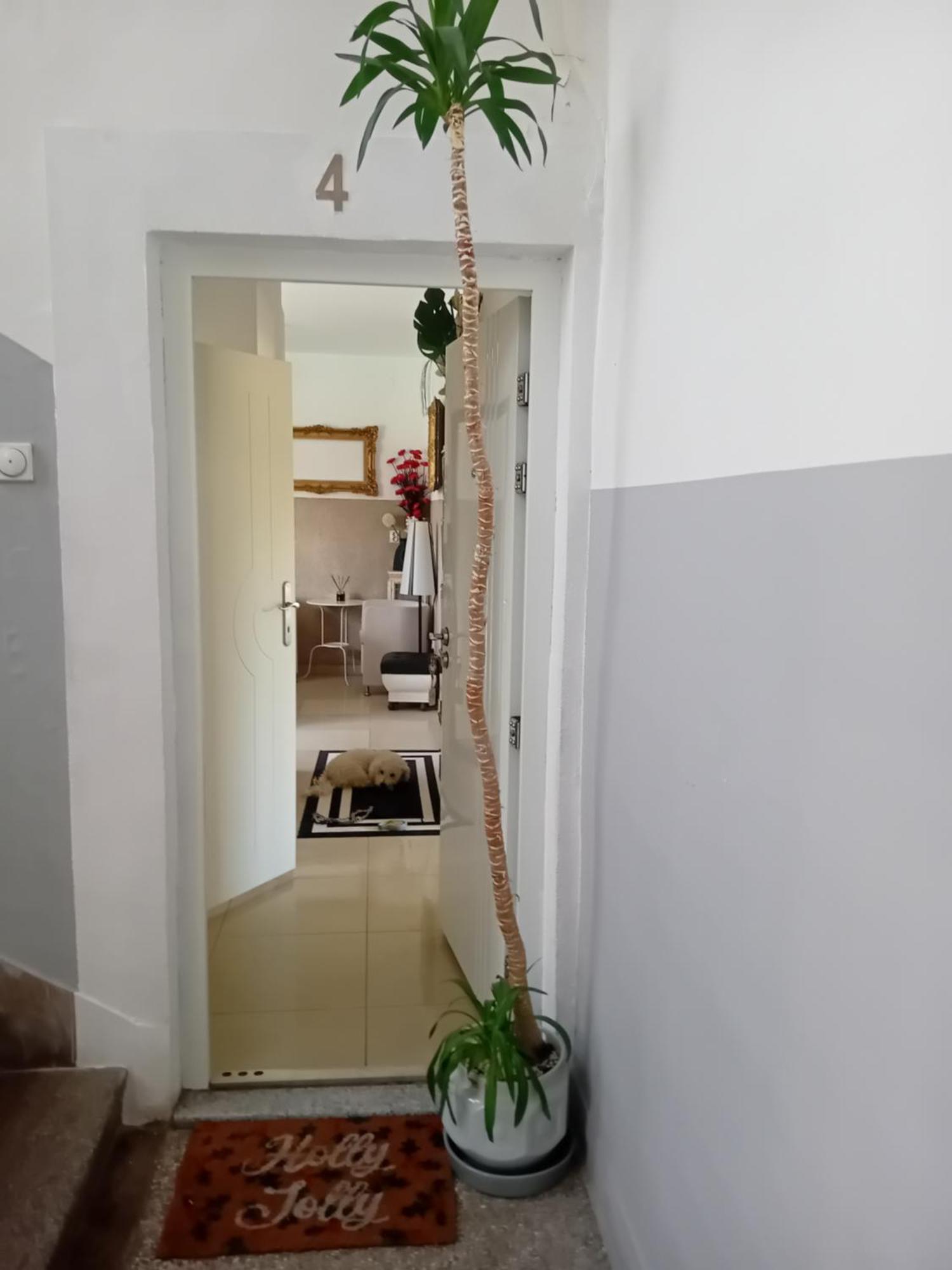 Apartment Top Centar Μπάνια Λούκα Εξωτερικό φωτογραφία